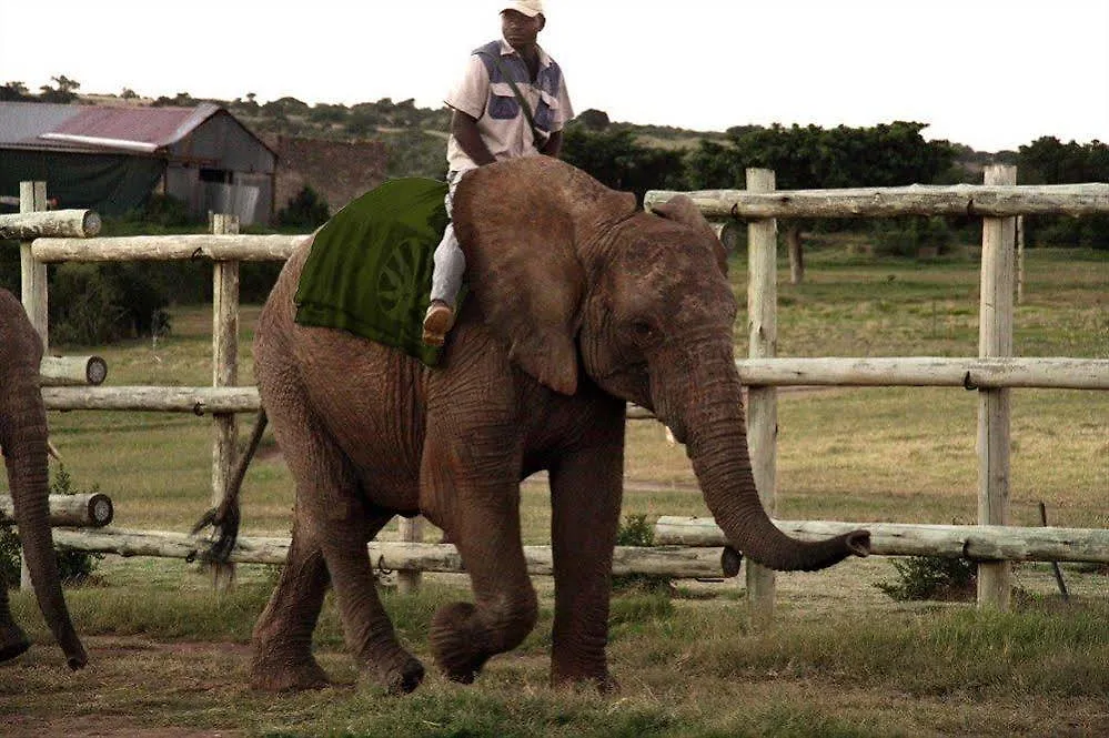Kwantu Private Game Reserve Sidbury