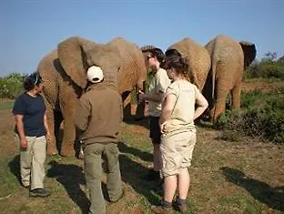 Kwantu Private Game Reserve Sidbury Hotel